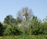 Май в цвету