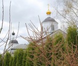 Праздник в честь иконы Божией Матери Живоносный Источник