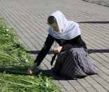 Подготовка праздничной дорожки