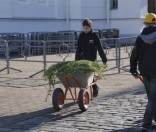 Подготовка праздничной дорожки