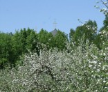 В монастырском саду