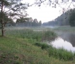 Поход воскресной школы в «Красный Бор»