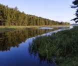 Утром