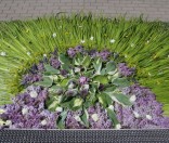 Праздничная дорожка