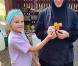 Палаточный лагерь на берегу реки Свольна