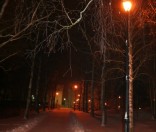 Дорога