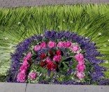Праздничная дорожка