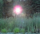 Поход Воскресной школы
