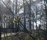 Весна. 2009 год