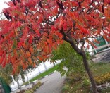 Осень в монастыре