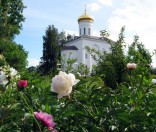 Июнь 2009 года