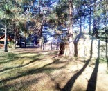 В лесу