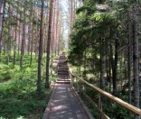 дорога к озеру