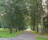 Праздник Происхождения (изнесения) Честных Древ Животворящего Креста Господня в Полоцкой обители	