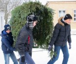 6 Готовим Рождественский вертеп
