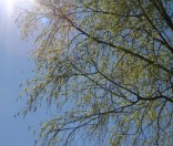 Весна 2012 года