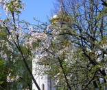 Красуйся и ликуй обитель Спаса. Июль 2009 года