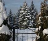 Крещенский сочельник