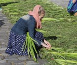 Подготовка праздничной дорожки