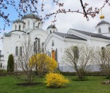 Праздник в честь иконы Божией Матери Живоносный Источник