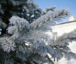 9-Зима в обители преподобной Евфросинии Полоцкой