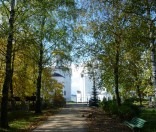 Золотая  аллея