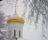 Январь 2009 года