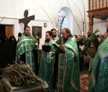 Освящение-верб в Неделю Ваий. Апрель 2009 года