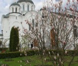 Праздник Входа Господня в Иерусалим в Полоцкой обители