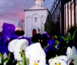 Вечер. Июль 2009 года