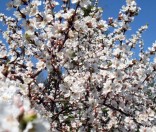 Май 2009 года