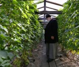 Экскурсия по монастырскому саду