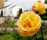 Осень в монастыре