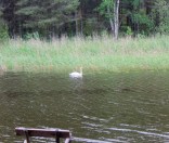 Утром