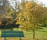 Осень в монастыре