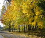 Осень в монастыре