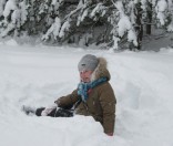 46-Воспитанники воскресной школы при Спасо-Евфросиниевском монастыре выступили в Малоситнянской средней школе с Рождественским концертом