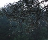 Поход воскресной школы в «Красный Бор»