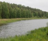Река Свольна