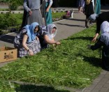 Подготовка праздничной дорожки