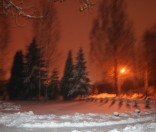 Елочки