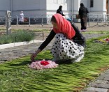 Украшение праздничной дорожки