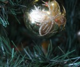 Рождественский концерт
