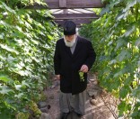 Экскурсия по монастырскому саду