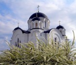 Весна 2008 года