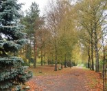 Осень в монастыре