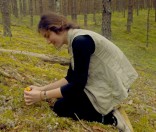 Палаточный лагерь на берегу реки Свольна