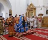 Встреча Митрополита Павла