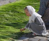 Подготовка праздничной дорожки
