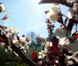 Июль 2009 года